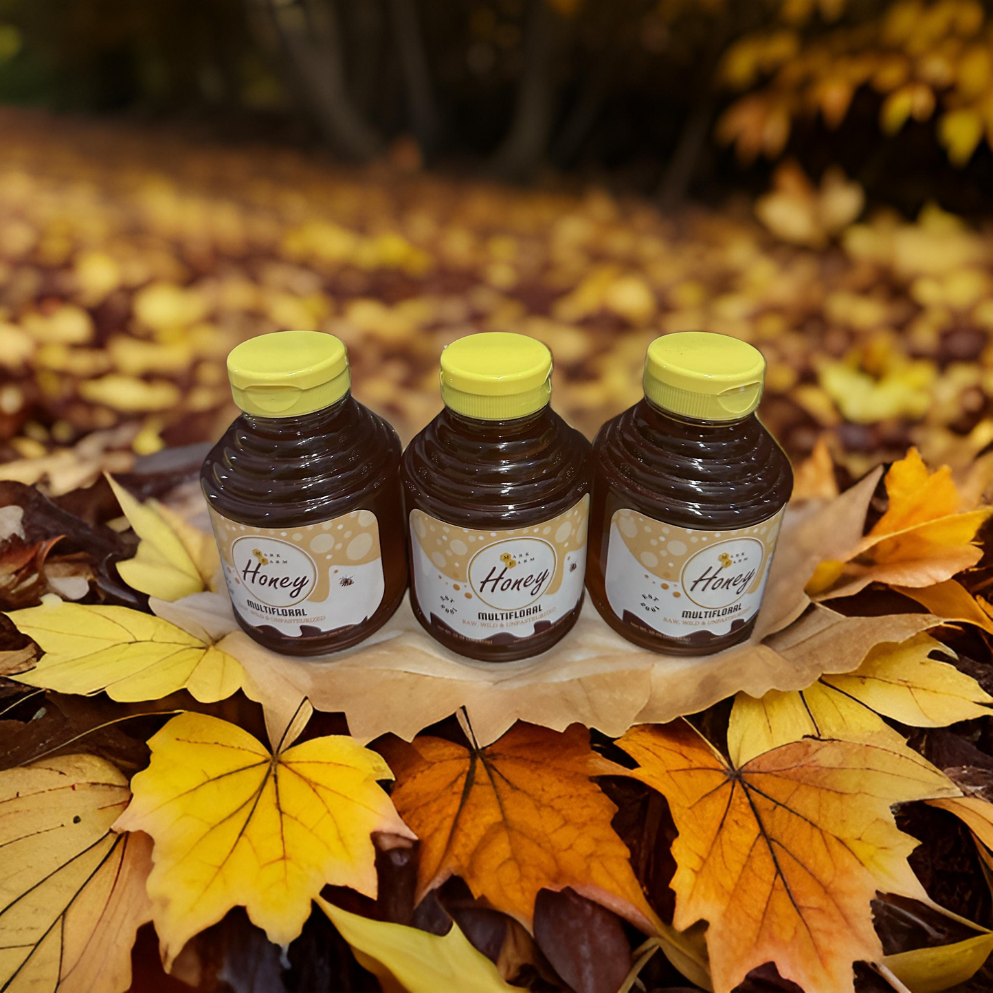 16 oz Raw, Wild & Unpasteurized Honey